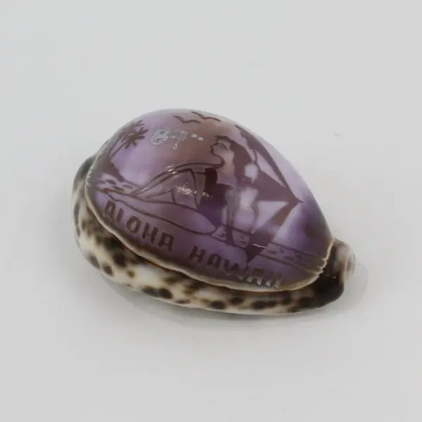 Aloha Hawaii Hand-Carved Cowrie Seashell Souvenir Purple Floral Decor
