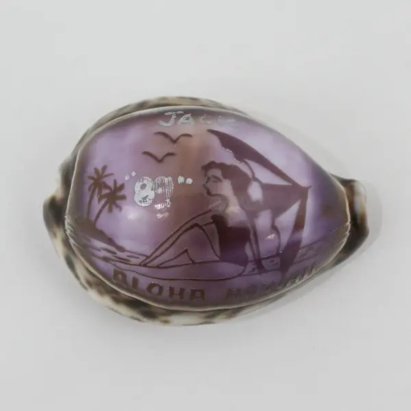 Aloha Hawaii Hand-Carved Cowrie Seashell Souvenir Purple Floral Decor