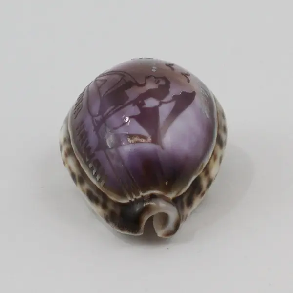 Aloha Hawaii Hand-Carved Cowrie Seashell Souvenir Purple Floral Decor