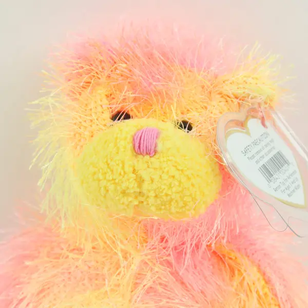 Ty Punkies Rainbow The Teddy Beanie Plush 2002 Tag Protector