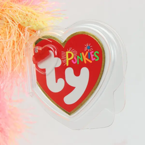 Ty Punkies Rainbow The Teddy Beanie Plush 2002 Tag Protector