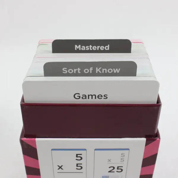 Think Tank Scholar 173 Multiplication Flash Cards with Storage Box
