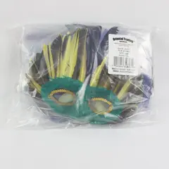 Oriental Trading Mardi Gras Feather Masquerade Masks Assortment 1 Dozen