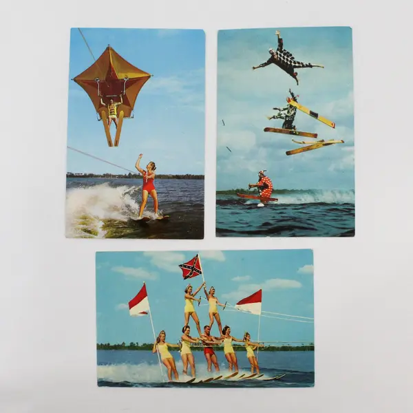 Lot Of 3 VTG Cypress Gardens Florida Water Ski Show Chrome Postcards