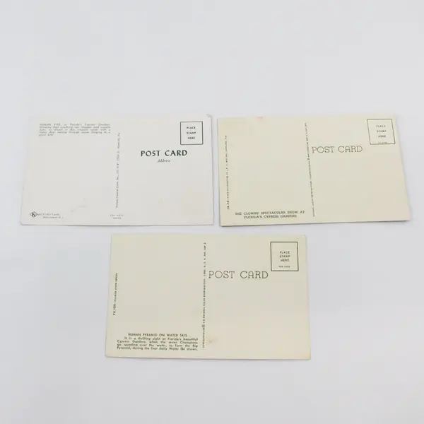 Lot Of 3 VTG Cypress Gardens Florida Water Ski Show Chrome Postcards