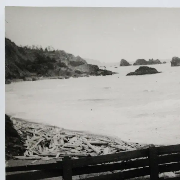 Vintage 1950s Ecola State Park Oregon Coast Black And White Snapshot Photo
