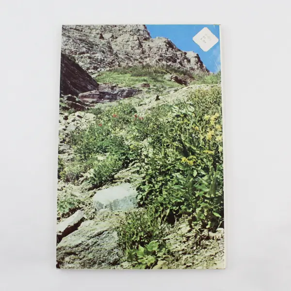 Flowering Beauty of Glacier National Park Wildflowers Book 1969 Ralph Reiner