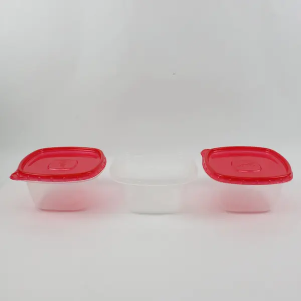 Set of 3 Ziploc 5-Cup Food Storage Containers 2 Lids