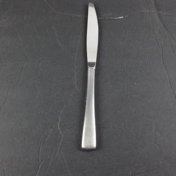 Oneida Solar II Stainless Steel Modern Hollow Handle Table Knife