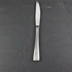 Oneida Solar II Stainless Steel Modern Hollow Handle Table Knife