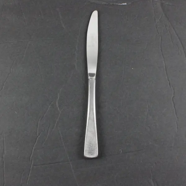Oneida Solar II Stainless Steel Modern Hollow Handle Table Knife