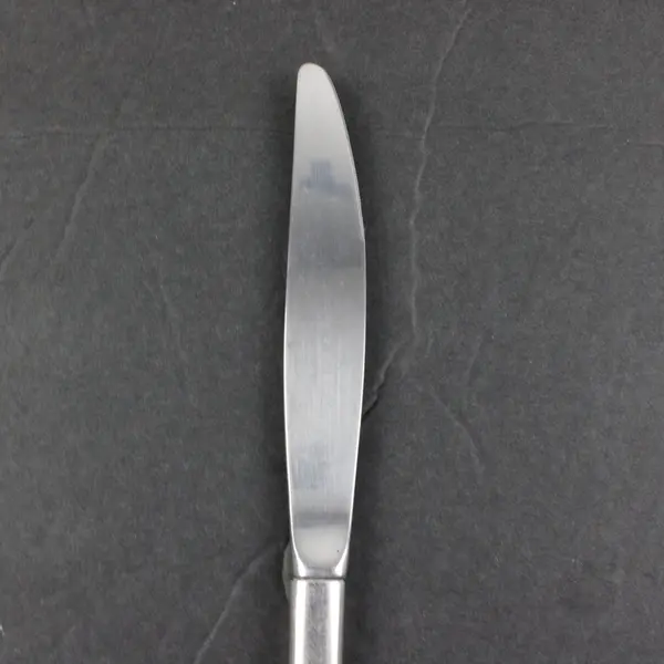 Oneida Solar II Stainless Steel Modern Hollow Handle Table Knife