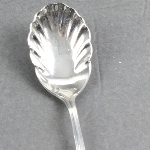 Reed & Barton Stainless Steel Sugar Shell Spoon 6.25 Inch