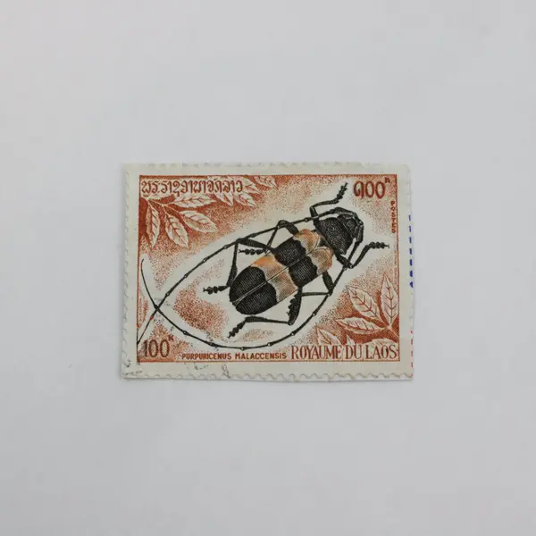 Lot Of 5 Laos 1958-1974 Stamps Used On Paper