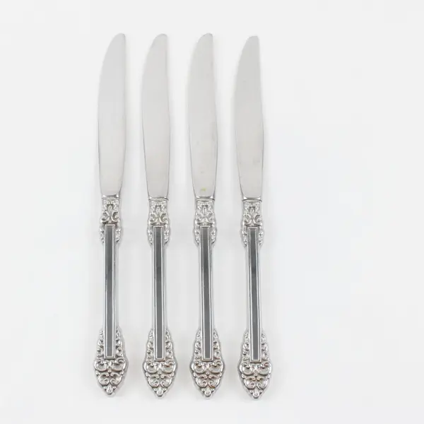Lot of 4 Oneida Silver Rembrandt Pattern Stainless Heirloom Dinner Knives 9" 