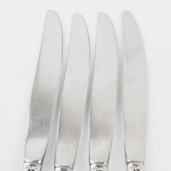 Lot of 4 Oneida Silver Rembrandt Pattern Stainless Heirloom Dinner Knives 9" 