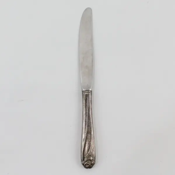International Silver Daffodil Pattern Youth Knife Silverplate Handle SS Blade