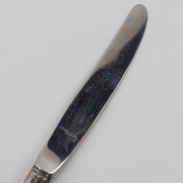 International Silver Daffodil Pattern Youth Knife Silverplate Handle SS Blade