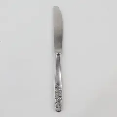 Rostfrei 18/8 Stainless Youth Knife Raised Relief Handle Rare HTF Pattern 6.75"