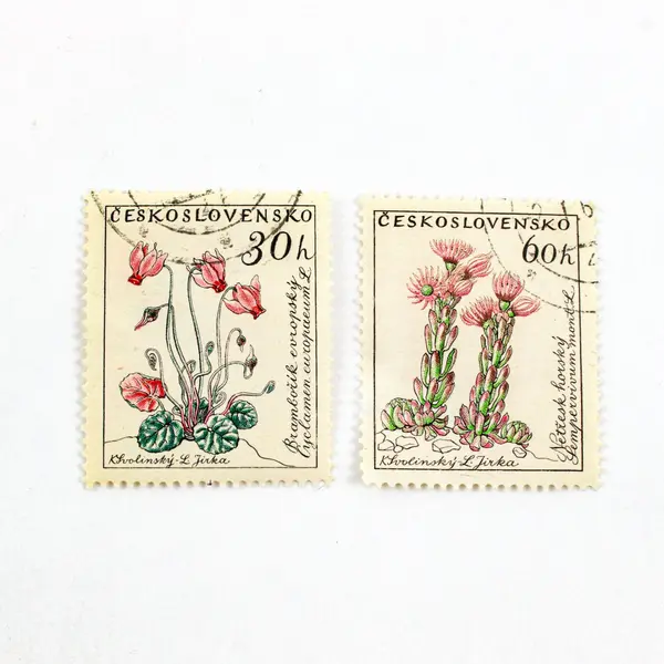 Lot Of 9 Czechoslovakia 1965-1970 Commemorative Stamps Used