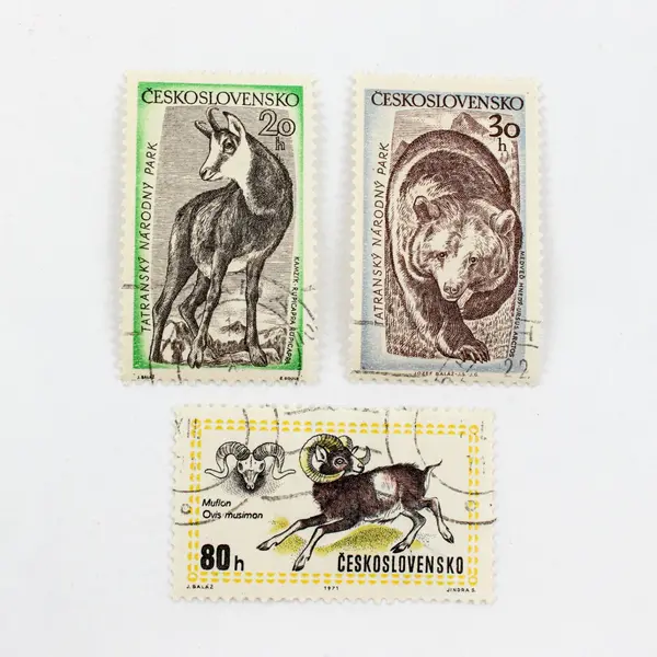 Lot of 10 Czechoslovakia Used Postage Stamps 1950s-1970s