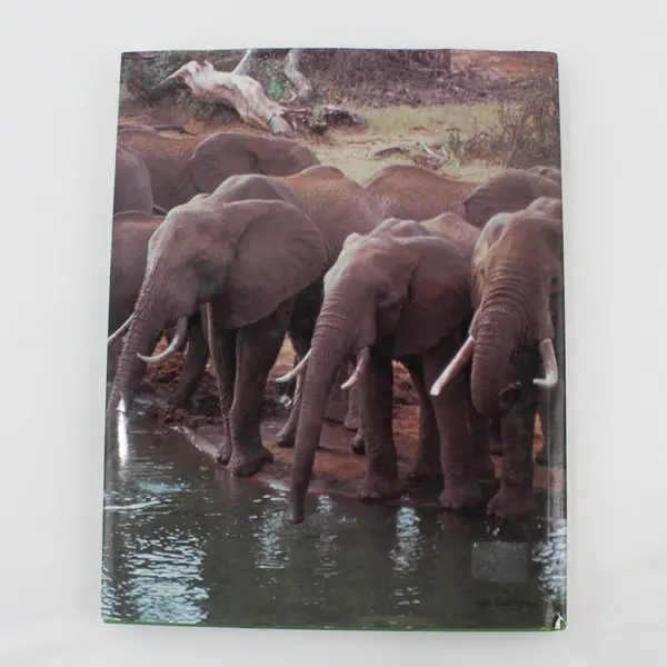 Elephants: The Vanishing Giants Dan Freeman 1980 Hardcover DJ Gallery Books