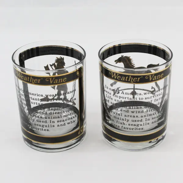 Set of 2 Vintage Georges Briard Weathervane Glass Tumblers, 4" Tall 