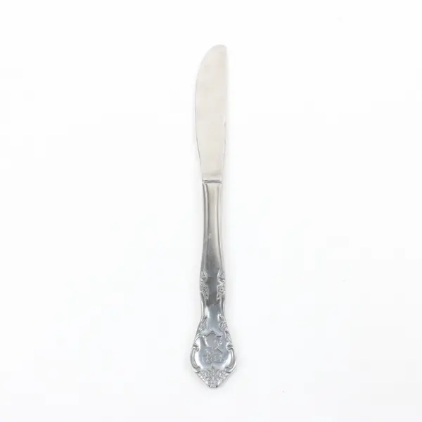 Estia Cascade Stainless Steel Child's Dinner Knife