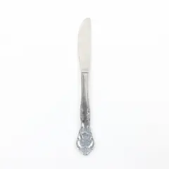 Estia Cascade Stainless Steel Child's Dinner Knife
