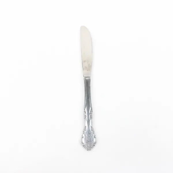 Estia Cascade Stainless Steel Child's Dinner Knife