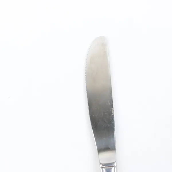 Estia Cascade Stainless Steel Child's Dinner Knife