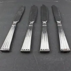 Pfaltzgraff Savannah Stainless Steel Modern Solid Knives Set of 4