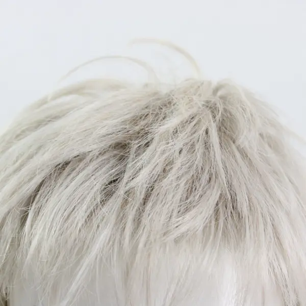 Raquel Welch HairUWear Signature Collection Short Gray Wig Pre-Owned