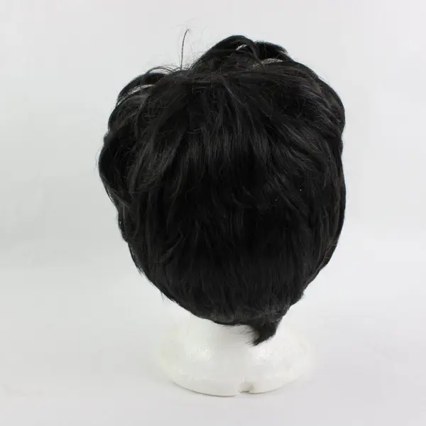 Short Black Hair Wig Hairpiece Pre-Owned