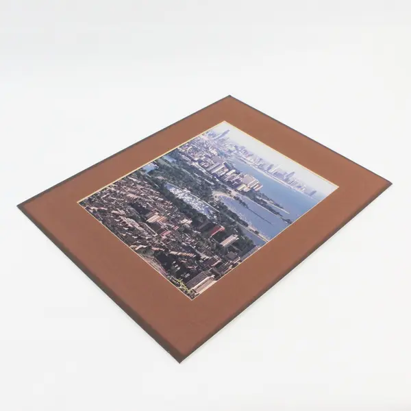 Bob Horsch South Side Chicago Skyline 8X10 Photograph Matted