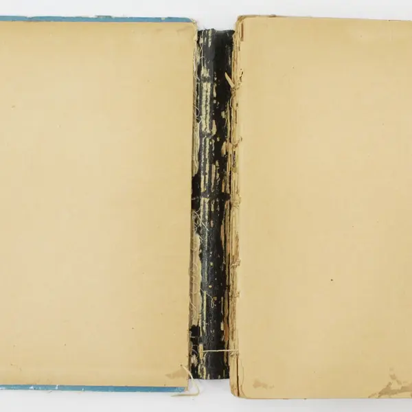 Antique Billy Whiskers Frances Trego Montgomery Popular Edition 1902 Acceptable