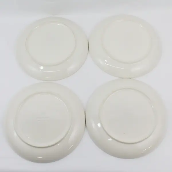 Set Of 4 Pfaltzgraff Juniper 10" Dinner Plates