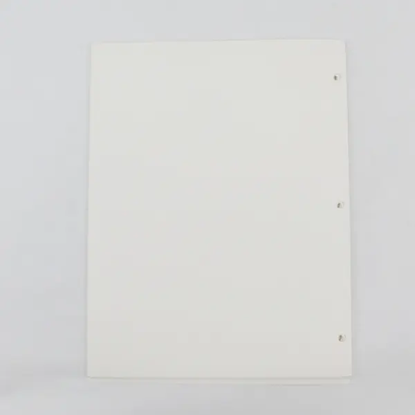 Lot of 16 USPS Commemorative Stamp Club Pages 1984-1985
