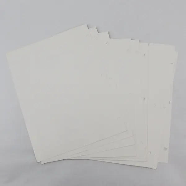 Lot of 16 USPS Commemorative Stamp Club Pages 1984-1985