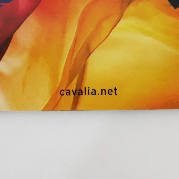Cavalia Odysseo 2012 Program Illustrated Cast & Crew