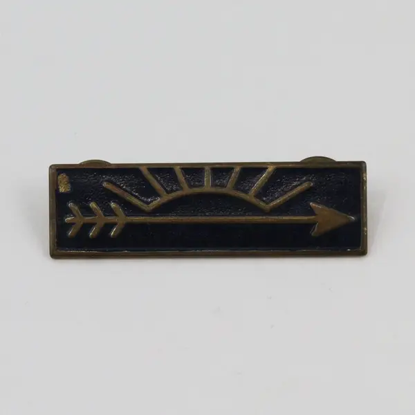 Cub Scout Arrow of Light Rank Award Blue Insignia Pin