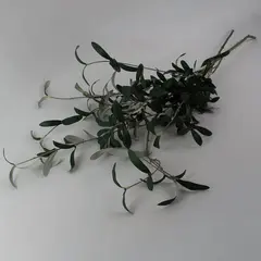 Lot of 2 Beautiful Faux Black Olive Tree Stems, New 