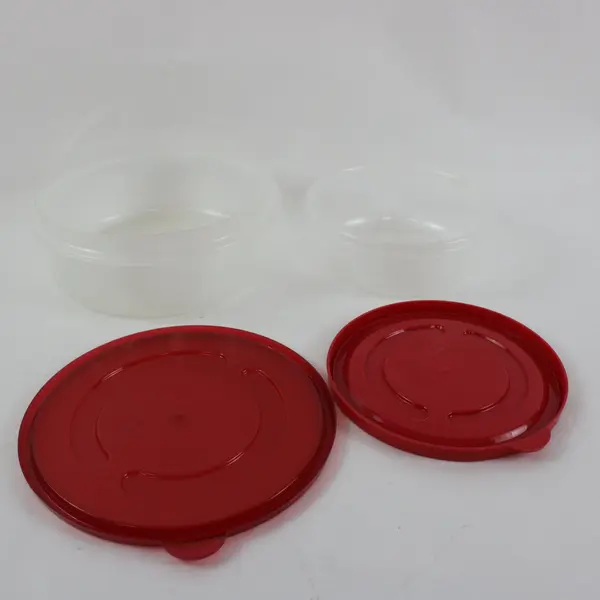 Rubbermaid Lot of 2 Food Storage Containers with Lids Used 2.5 Qt 2 Cup