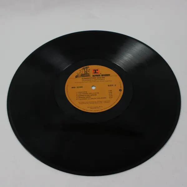 Gordon Lightfoot Summertime Dream 1976 12" Vinyl Record Reprise MS 2246