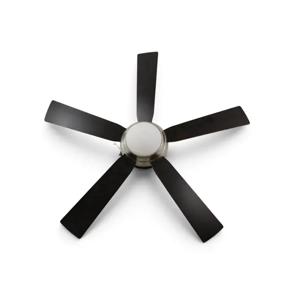 Fanimation LP8068 Complete Ceiling Fan Assembly FM006 Used