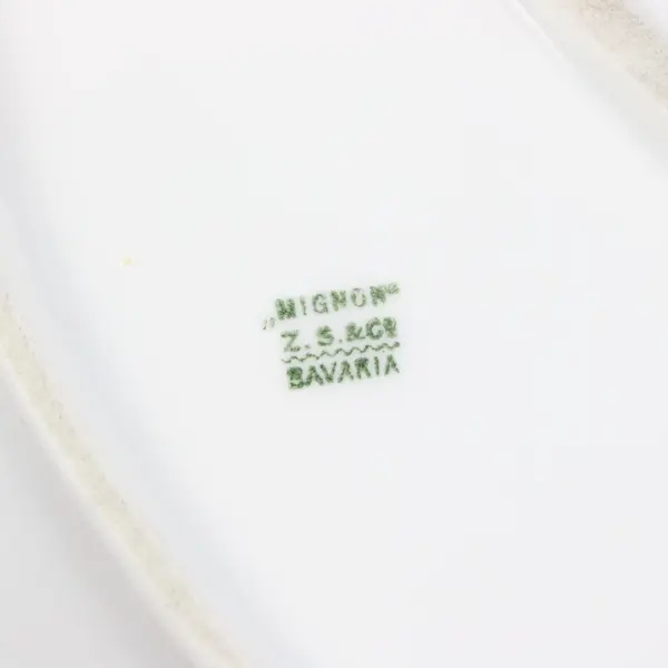 Mignon Bavaria Floral Oval Serving Platter