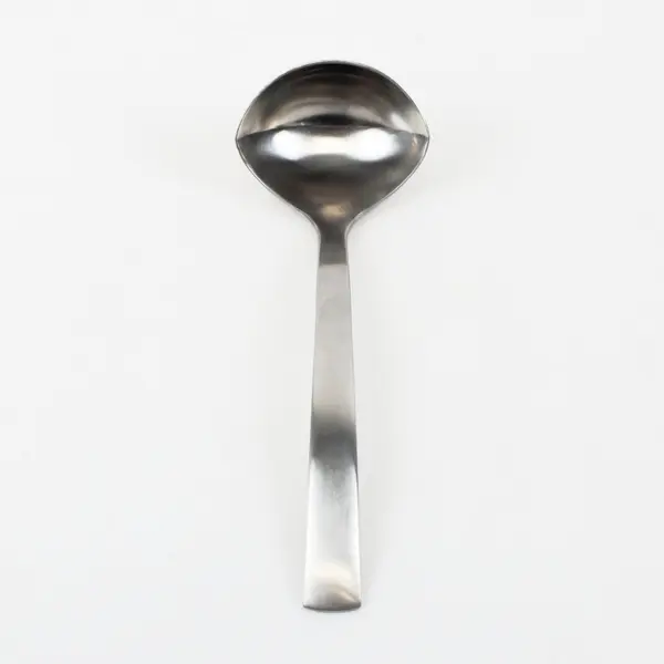 Gourmet Settings Park-Carry On Pattern 18/10 SS Gravy Ladle Matte Finish 7.5"