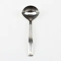 Gourmet Settings Park-Carry On Pattern 18/10 SS Gravy Ladle Matte Finish 7.5"
