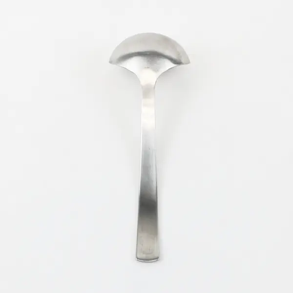 Gourmet Settings Park-Carry On Pattern 18/10 SS Gravy Ladle Matte Finish 7.5"
