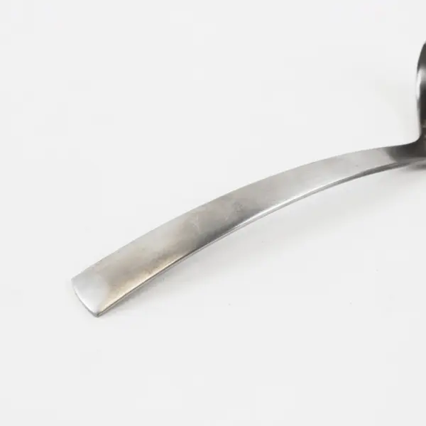 Gourmet Settings Park-Carry On Pattern 18/10 SS Gravy Ladle Matte Finish 7.5"
